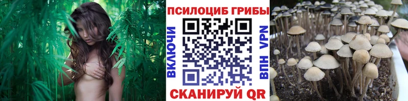 Галлюциногенные грибы ЛСД мориарти какой сайт Вилюйск